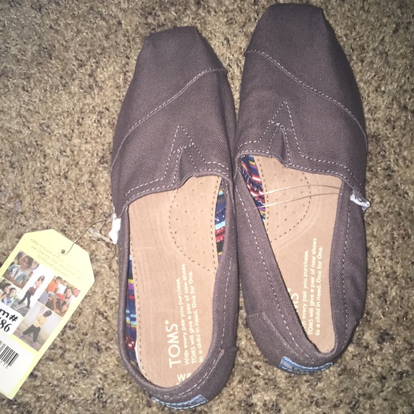 toms ash grey canvas